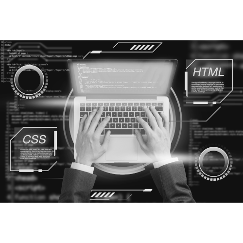 Custom Coding Website Designer